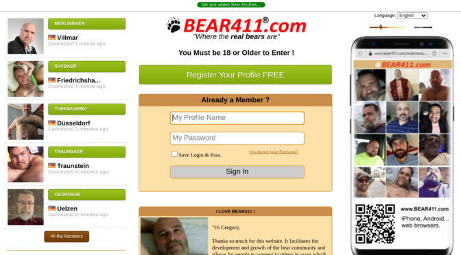Bear411: An In-Depth Look at the Popular Dating Platform